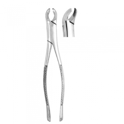 Extracting Forceps #17