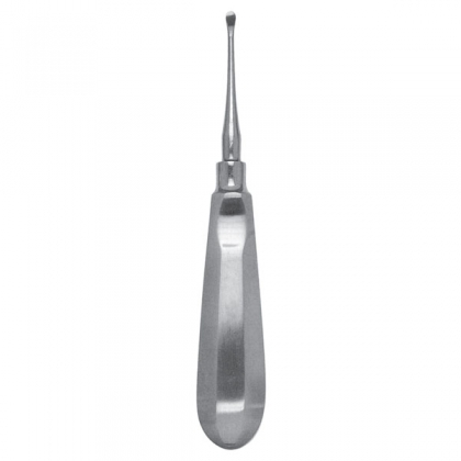 Molt Curette #1