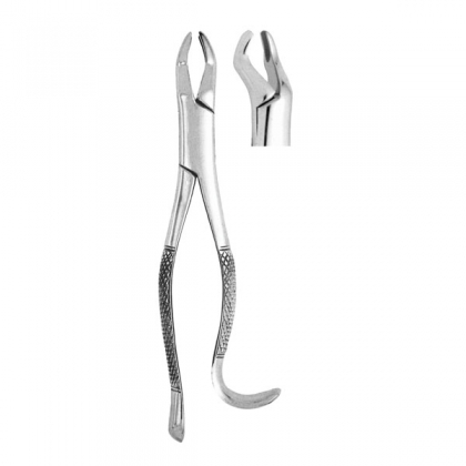 Extracting Forceps #10H