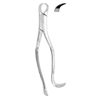 Extracting Forceps #16