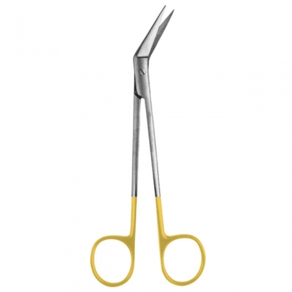 Kelly Scissors 6.25
