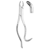 Extracting Forceps #287
