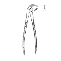 Extracting Forceps #MD3