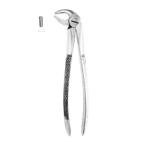 Extracting Forceps #13 - English