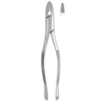 Extracting Forceps #1 - Standard