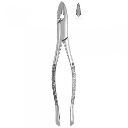 Extracting Forceps #1 - Standard