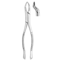 Extracting Forceps #286