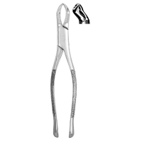 Extracting Forceps #88L