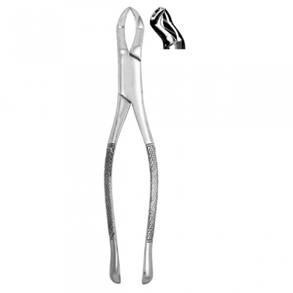 Extracting Forceps #88L