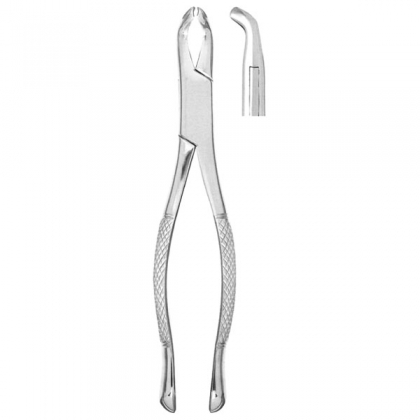 Extracting Forceps #222