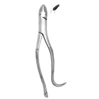 Extracting Forceps #85