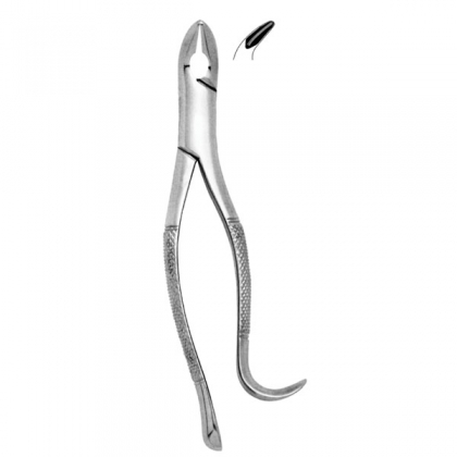 Extracting Forceps #85