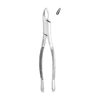 Extracting Forceps #101