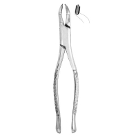 Extracting Forceps #53L