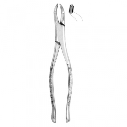 Extracting Forceps #53L