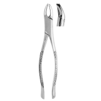 Extracting Forceps #89