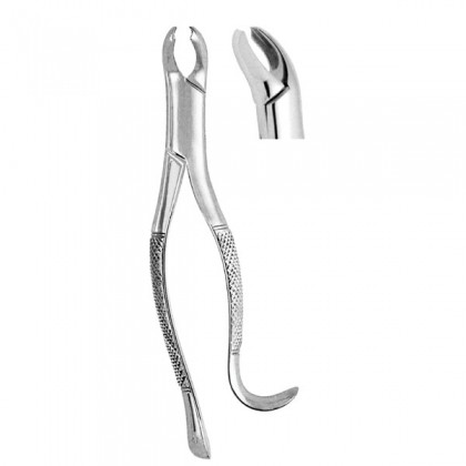 Extracting Forceps #15