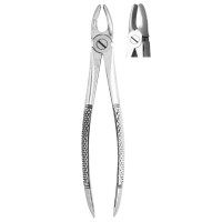 Extracting Forceps #md2