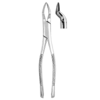 Extracting Forceps #65