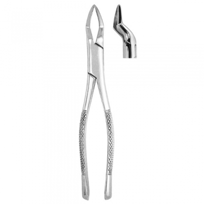 Extracting Forceps #65