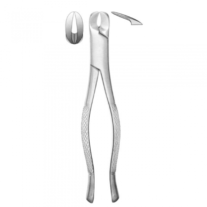 Extracting Forceps #6