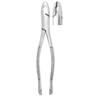Extracting Forceps #201