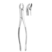 Extracting Forceps #17