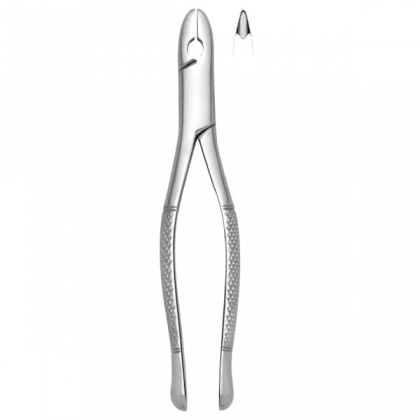 Extracting Forceps #99C