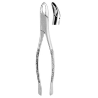  Extracting Forceps #62