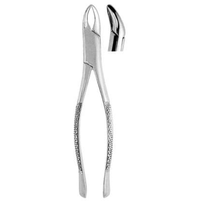  Extracting Forceps #62