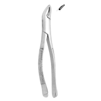 Extracting Forceps #151 - Serrated