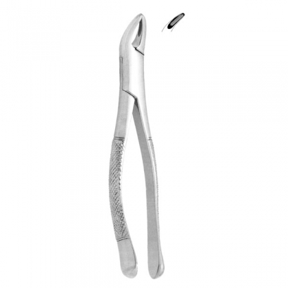 Extracting Forceps #151 - Serrated