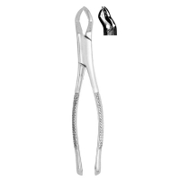 Extracting Forceps #88R
