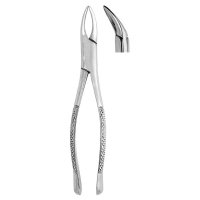 Extracting Forceps #69