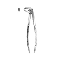 Extracting Forceps #MD4