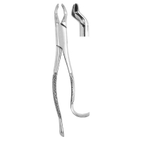 Extracting Forceps #210