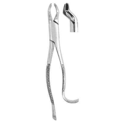 Extracting Forceps #210