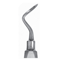 Apical Elevator #302