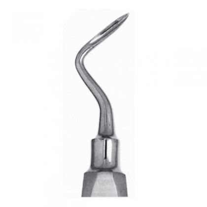 Apical Elevator #302