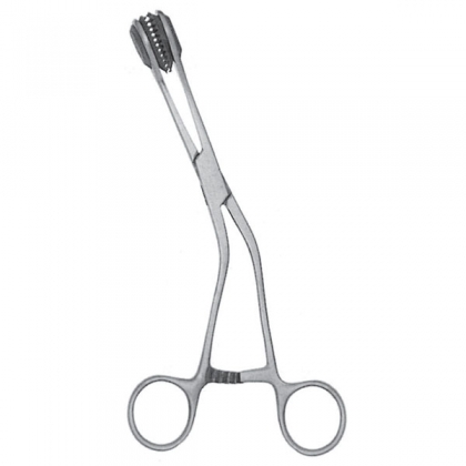 Young Tongue Holding Forceps 6