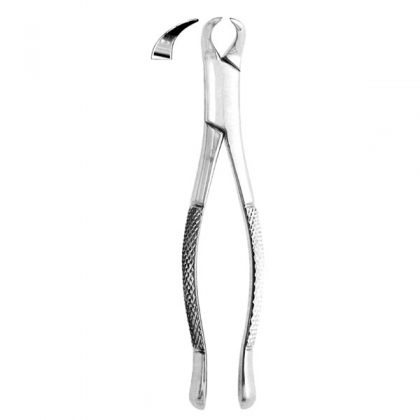 Extracting Forceps #23