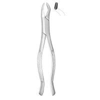 Extracting Forceps #53R
