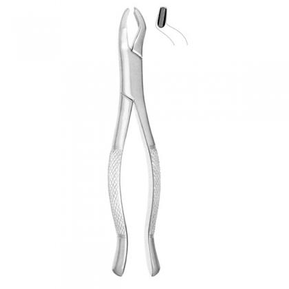 Extracting Forceps #53R