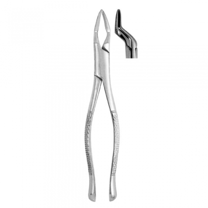 Extracting Forceps #32A