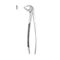 Extracting Forceps #33 - English