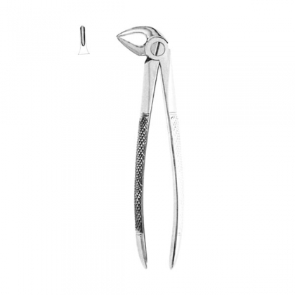 Extracting Forceps #33 - English