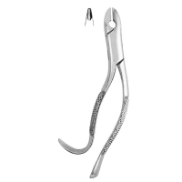 Extracting Forceps #99A