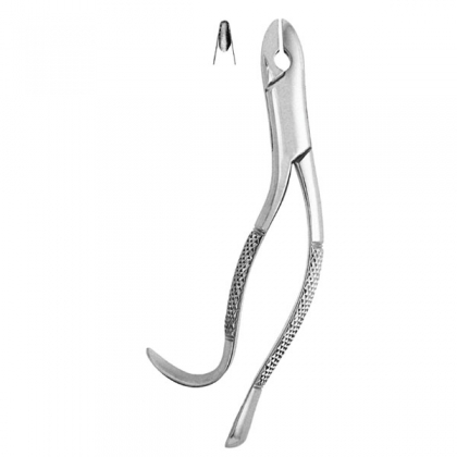 Extracting Forceps #99A