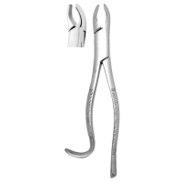 Extracting Forceps #18L
