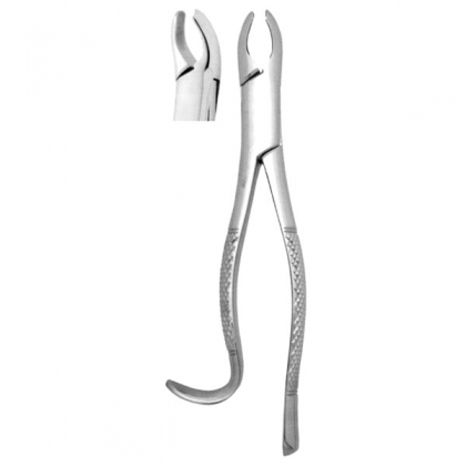 Extracting Forceps #18L